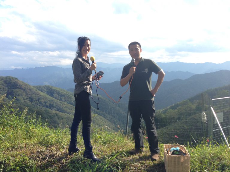 01b0622288de427a8ad8c9e852d1157dcec9e3cbb1