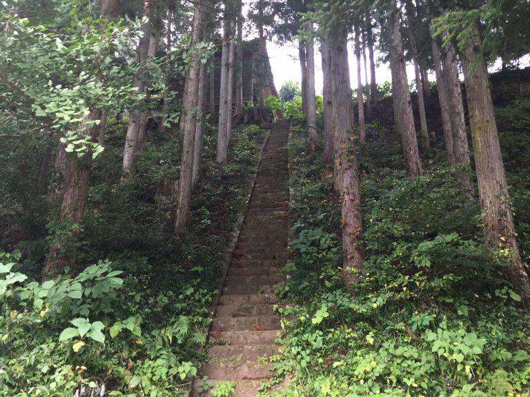 0133d9dae68c7e4e03c5f61616709c20935d34d850