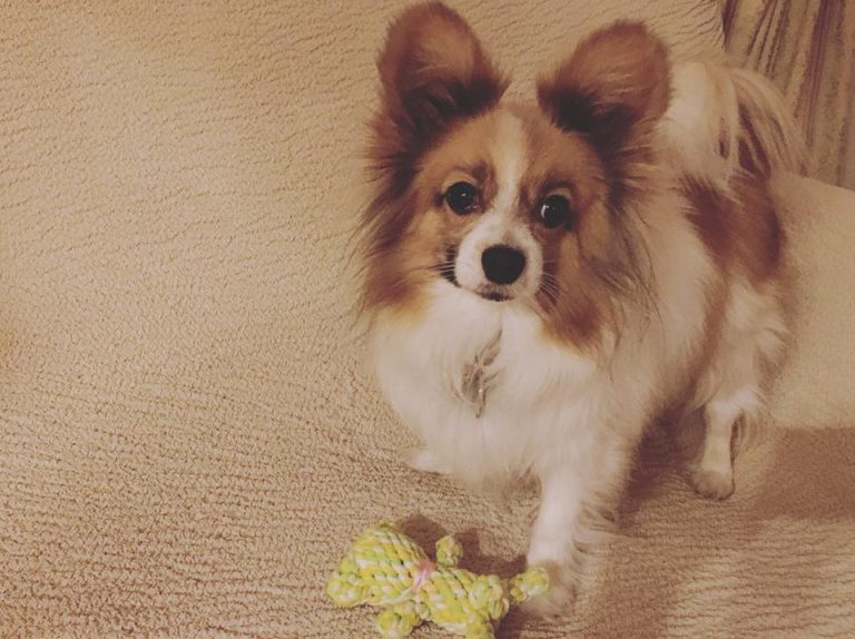 22728668_1192652087545931_6963055908201687321_n