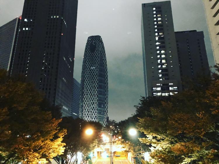 45727177_1489592581185212_8228395549376643072_n