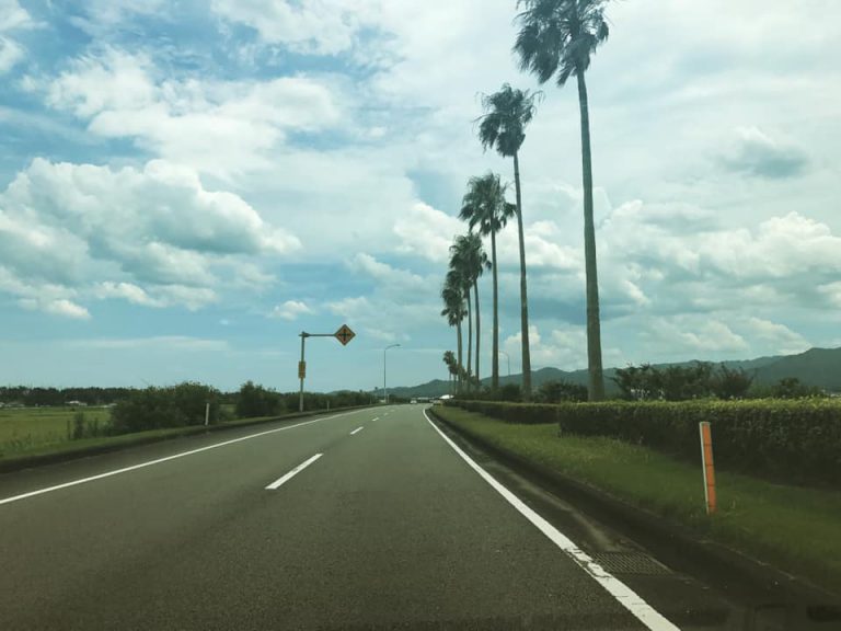 59397887_1624701787674290_6843890357357248512_n