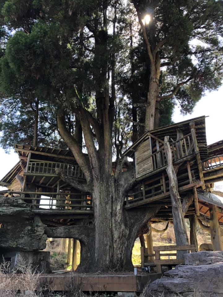 59809228_1630019173809218_7727893402531921920_n