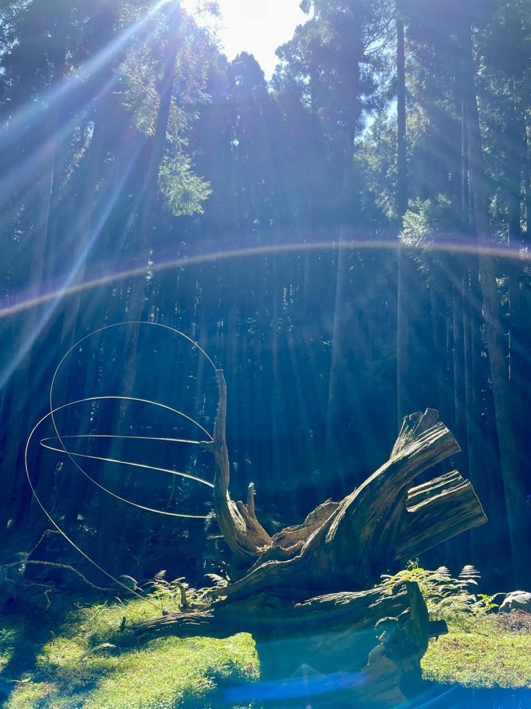 572268180_1275773077687184_1049665800236228694_n