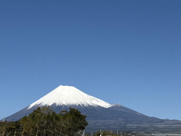 629330239_1351044046826753_6036747391413029174_n